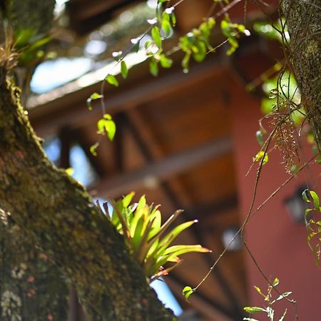 Badenwein Villa Campos do Jordão Eksteriør bilde